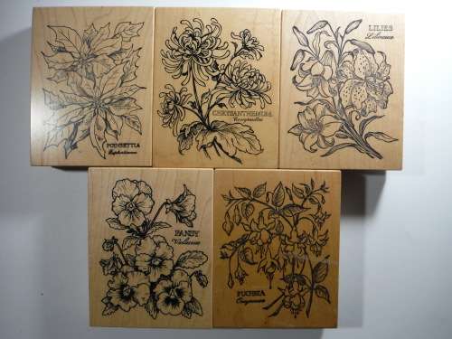 A Lot of 5 Botany Themed Rubber Stamps - PSX Petaluma, CA - Made in USA