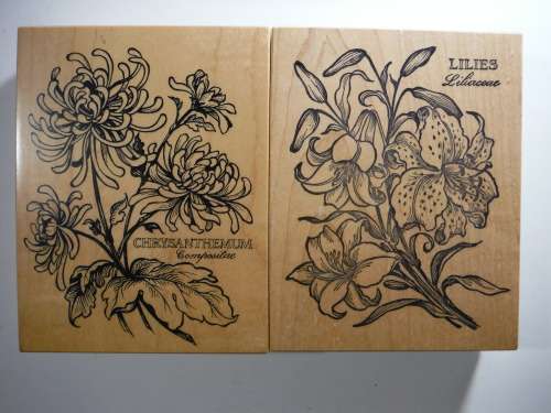 A Lot of 5 Botany Themed Rubber Stamps - PSX Petaluma, CA - Made in USA