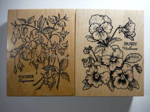A Lot of 5 Botany Themed Rubber Stamps - PSX Petaluma, CA - Made in USA