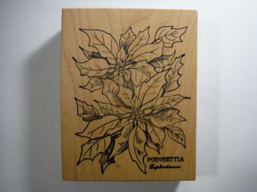 A Lot of 5 Botany Themed Rubber Stamps - PSX Petaluma, CA - Made in USA