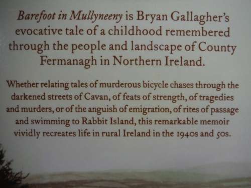 Barefoot in Mullyneeny - Paperback - Bryan Gallagher