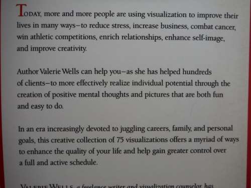 The Joy of Visualization - Paperback - Valerie Wells