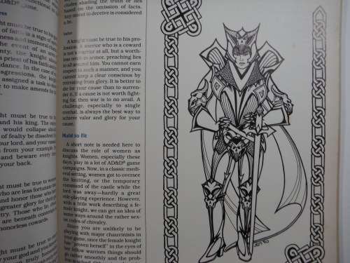 Advanced Dungeons and Dragons 2nd Edition : Dungeon Master`s Guide - The Castle Guide