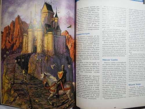 Advanced Dungeons and Dragons 2nd Edition : Dungeon Master`s Guide - The Castle Guide