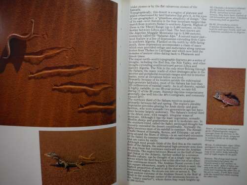 Wildlife of the Deserts - Hardcover - Frederic H. Wagner