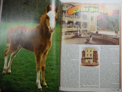The Horse : Man`s Friend and Servant Through the Ages - Volume 1 - Michael Seth-Smith