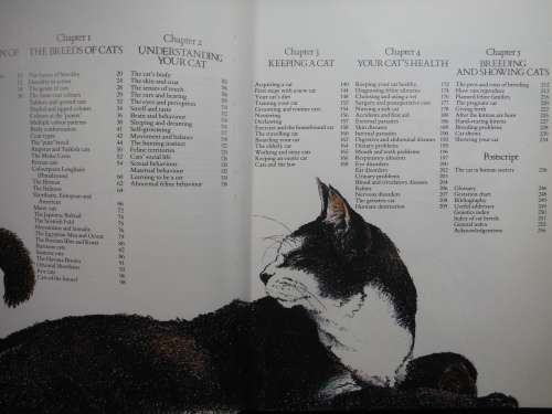 The Book of The Cat - Softcover - Pan Books