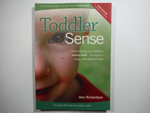 Toddler Sense : Understanding Your Toddler`s Sensory World - Anne Richardson