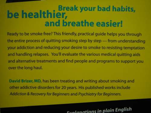 Quitting Smoking for Dummies - Softcover - David Brizer, MD