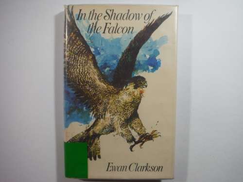 In the Shadow of the Falcon - Hardcover - Ewan Clarkson