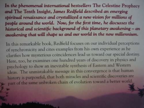 The Celestine Vision : Living the New Spiritual Awareness - James Redfield