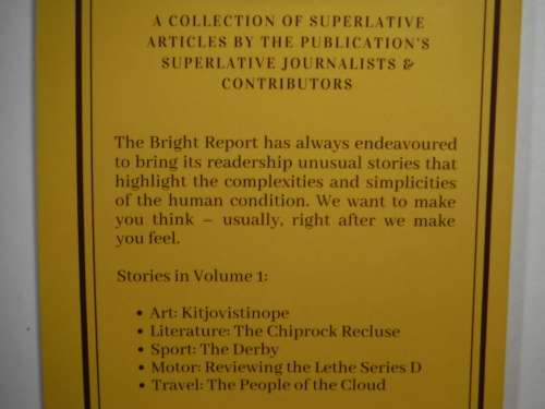 The Bright Report : Volume One - Paperback - Marcel M Du Plessis