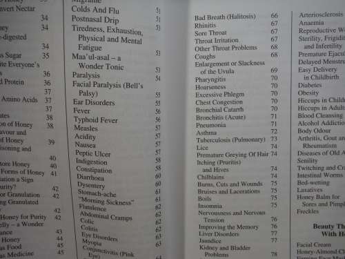 Honey...Real Food and Medicine - Paperback - Dr I. Keeka