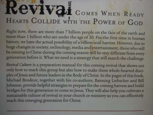 Revival Culture : Prepare for the Next Great Awakening - Michael Brodeur and Banning Liebscher