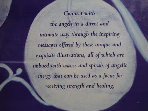In the Arms of Angels : Messages from the Angelic Realms - Claire Nahmad