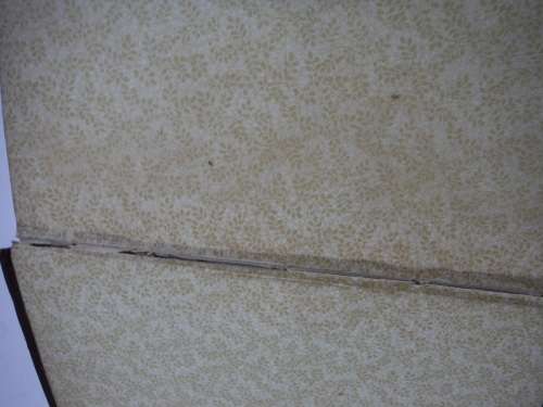 Ten Years Digging in Egypt - W.M. Flinders Petrie - Published 1892 - Rare Find