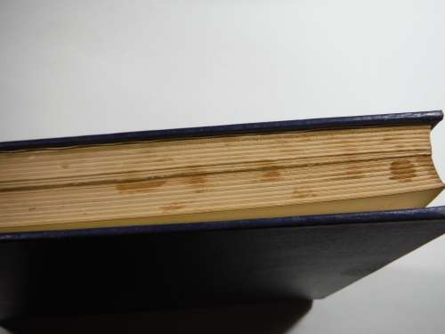 The Boy`s Book of Model-Making - Edited by Staton Abbey - Published 1958