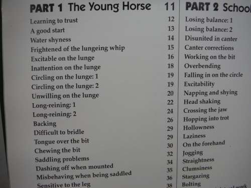 The Horse Rider`s Problem Solver - Vanessa Britton