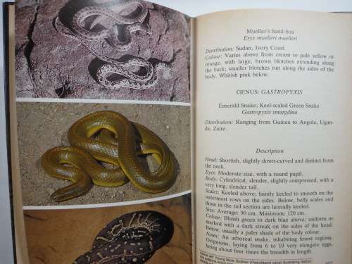 Snakes of Africa - R.M. Isemonger - 1983 Edition
