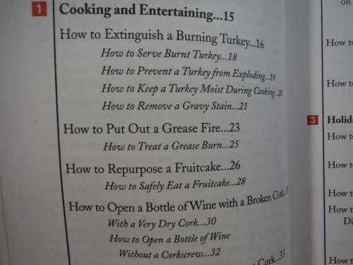 The Worst-Case Scenario Survival Handbook : Holidays
