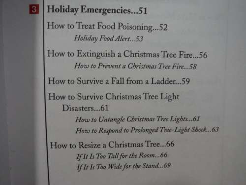 The Worst-Case Scenario Survival Handbook : Holidays