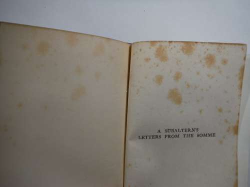 A Subaltern`s Letters From the Somme - Ellison Hawks (2nd Lieut. R.F.A.) - 1917 Edition