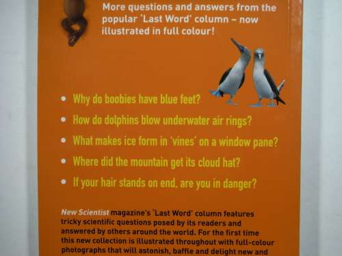 NewScientist : Why are Orangutans Orange? : Science Questions in Pictures - Paperback