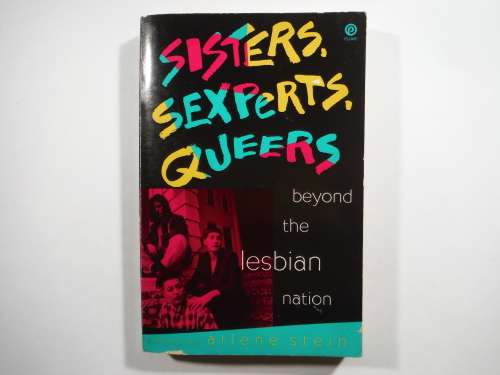 Sisters, Sexperts, Queers : Beyond the Lesbian Nation - Arlene Stein