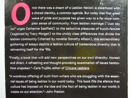 Sisters, Sexperts, Queers : Beyond the Lesbian Nation - Arlene Stein