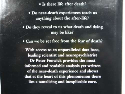 The Truth in the Light : An Investigation of Over 300 Near-Death Experiences - Peter Fenwick