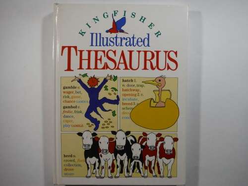 Kingfisher Illustrated Thesaurus - Hardcover
