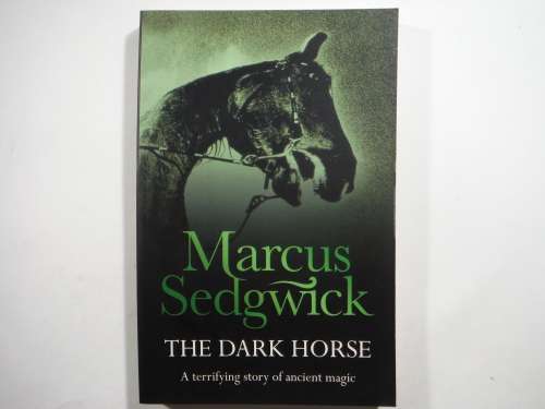 The Dark Horse - Paperback - Marcus Sedgwick