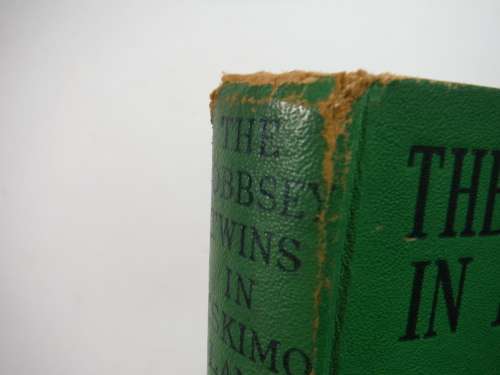 The Bobbsey Twins in Eskimo Land - Hardcover - Laura Lee Hope - 1936 Edition