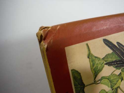 Avifauna Africana - 12 Watercolours of South African Wild Birds - Norman Neumann - 1965