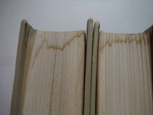 Funk & Wagnalls Standard Desk Dictionary : Volume 1 and 2 - Hardcover - 1976 Edition
