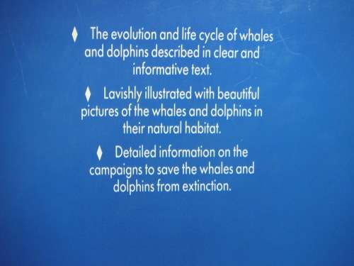 Endangered Species : Dolphins & Whales - Hardcover - Stephen Savage