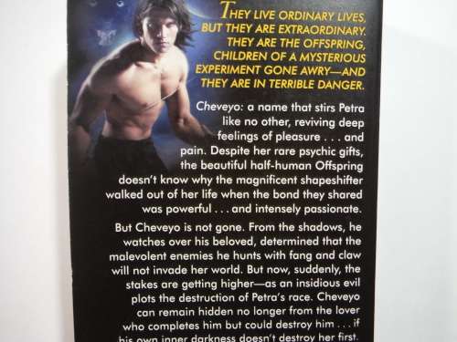 Beyond the Darkness - Paperback - Jaime Rush