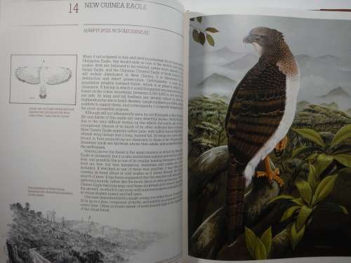Vanishing Eagles - Hardcover - Illustrated by Trevor Boyer -
