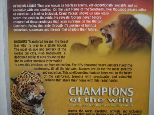 Champions of the Wild : African Lions : Hunters of Pride - DVD