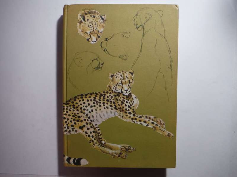 The spotted Sphinx - Hardcover - Joy Adamson - 1969