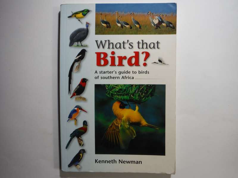 What`s that Bird : A Starter`s Guide to Birds of Southern Africa - Softcover - Kenneth Newman