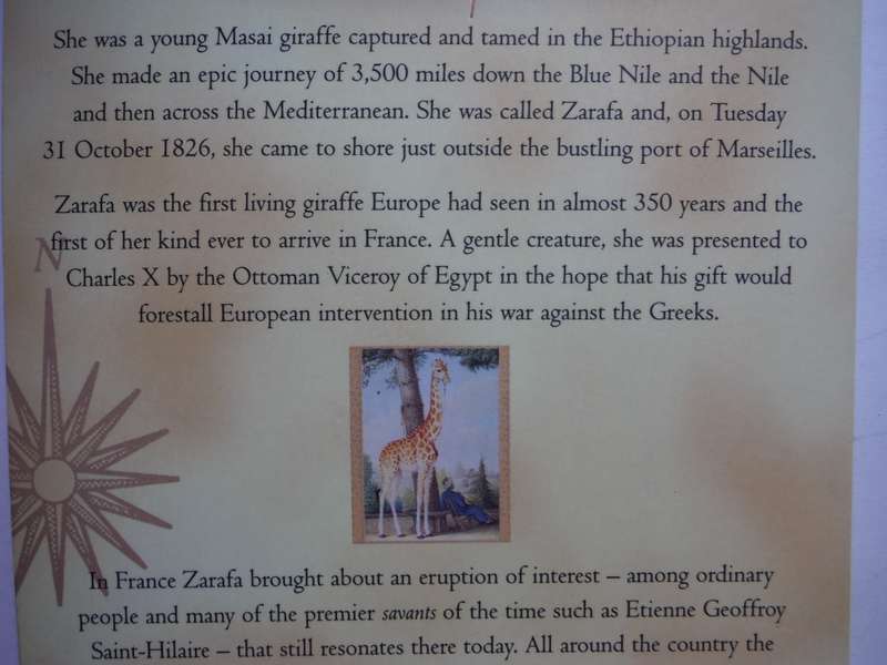 Zarafa - Paperback - Michael Allin