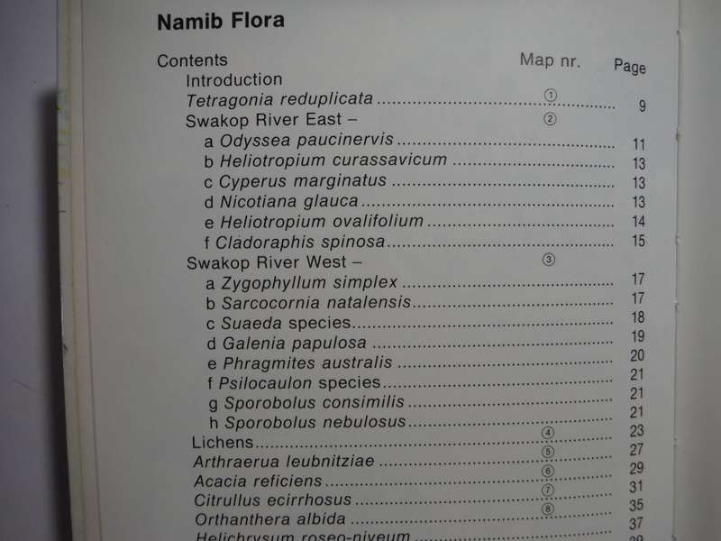 Namib Flora : Swakopmund to the Giant Welwitschia via Goanikontes - Hardcover - Patricia Craven