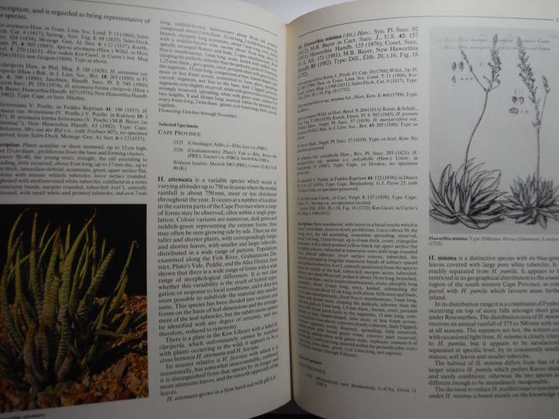 The Genus Haworthia : A Taxonomic Revision - Hardcover - Charles L. Scott - 1985