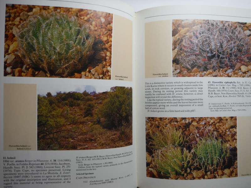The Genus Haworthia : A Taxonomic Revision - Hardcover - Charles L. Scott - 1985