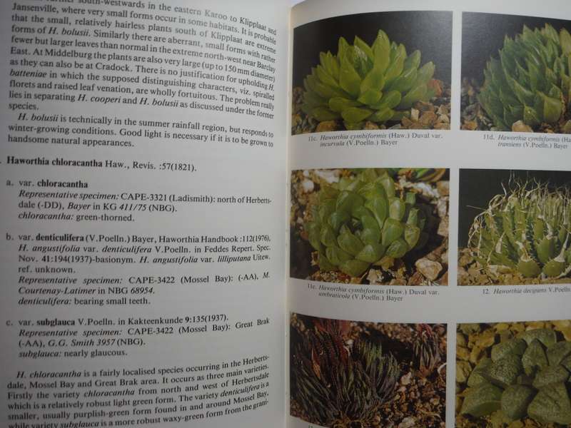 The New Haworthia Handbook - Softcover - M.B. Bayer - 1982