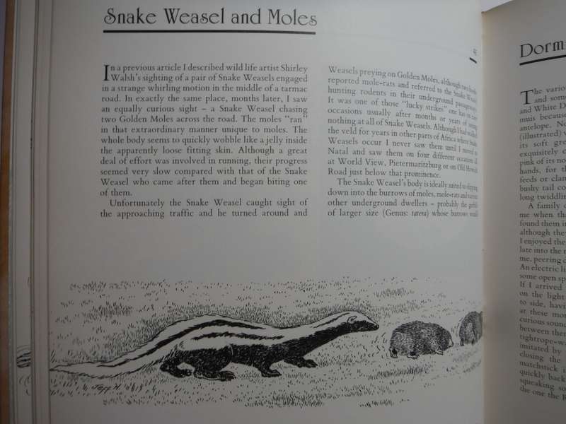 Jeff Huntly`s African Wildlife Sketches - Hardcover - 1990 First Edition