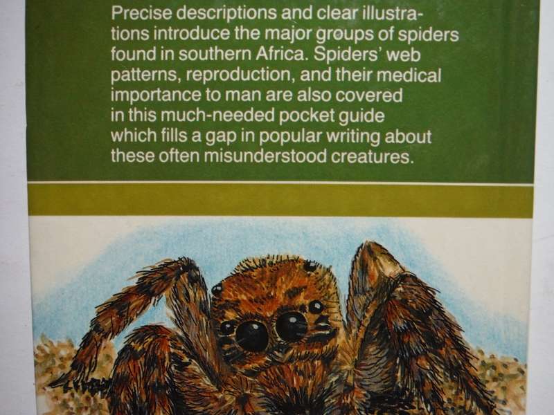 Struik Pocket Guides for Southern Africa : Spiders - Hardcover - Gerry Newlands