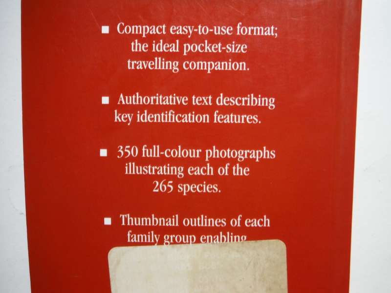 A Photographic Guide to Birds of East Africa - Paperback - Dave Richards