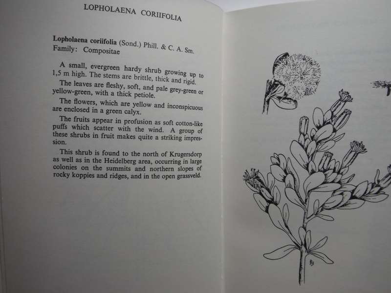 Trees and Shrubs of the Witwatersrand - Hardcover - Third Edition 1974